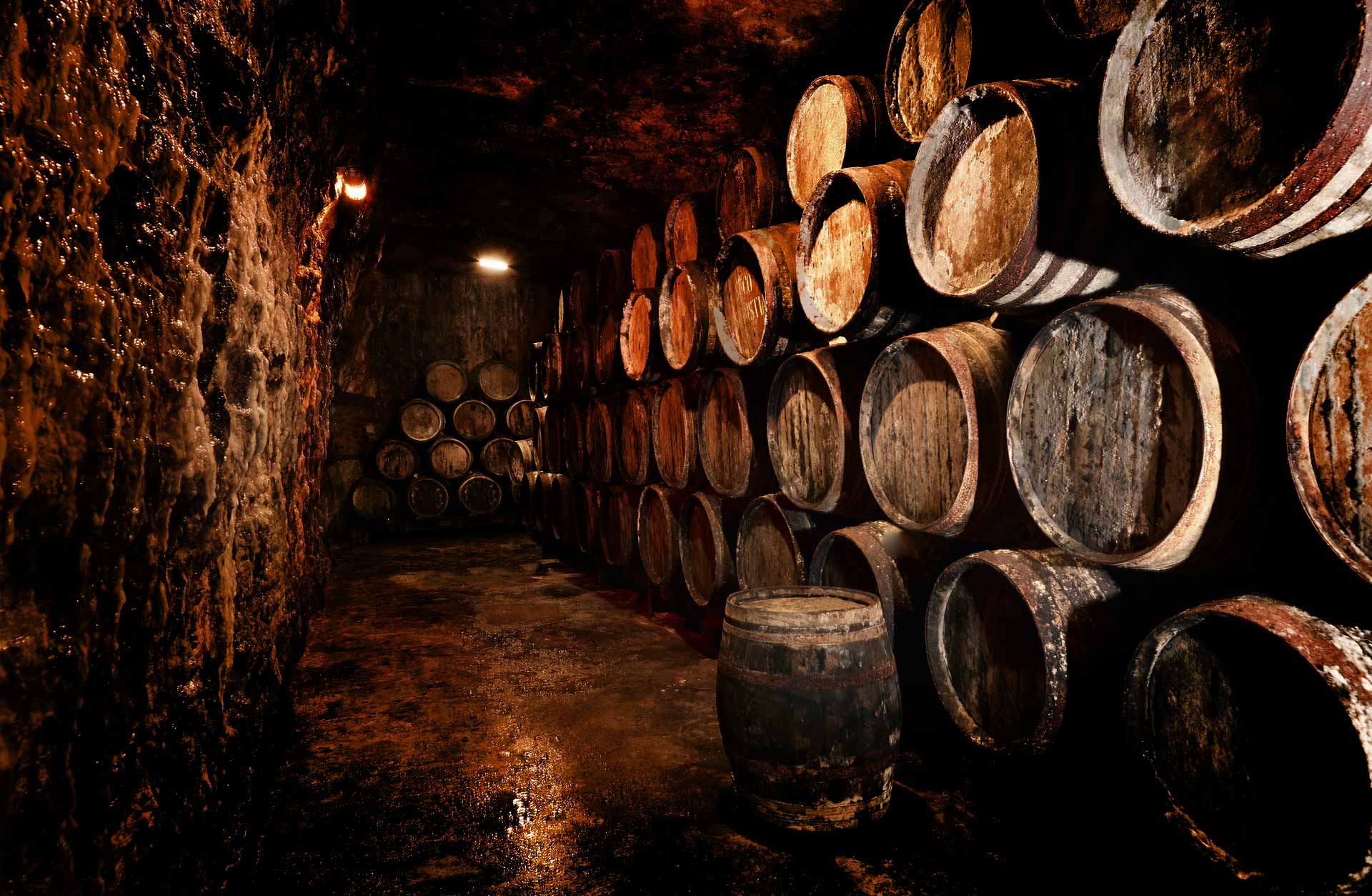 The Incredible Story of Michel Couvreur - Spirits of France