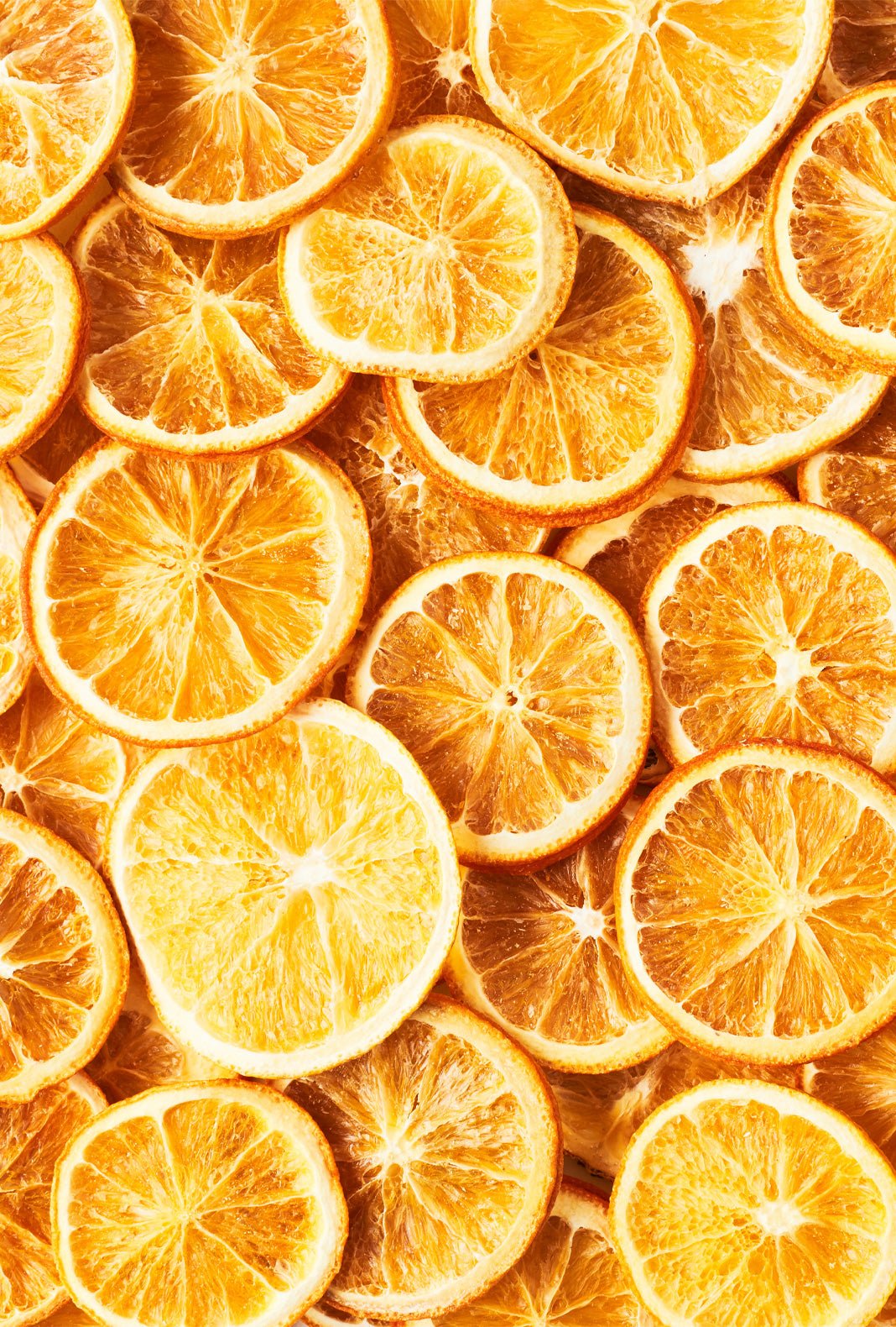 Lemon (Dehydrated) Cocktail Garnish 30g | Cocktail Garnish | Shop online at Spirits of France